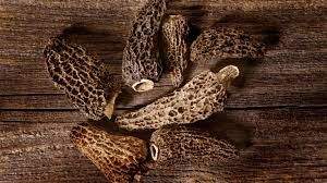 Menu Morilles et Asperges Vertes
